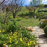 Quinta Treewindbee Vakantiehuis *