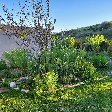 Quinta Treewindbee Dom wakacyjny