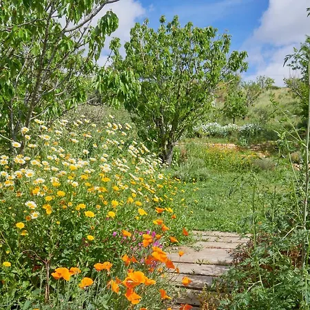 Quinta Treewindbee Casa de Férias