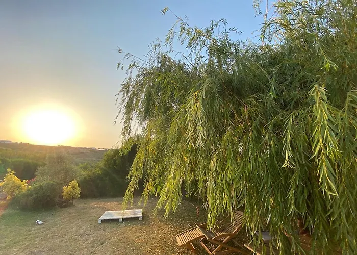 Quinta Treewindbee 度假居 阿伦克尔