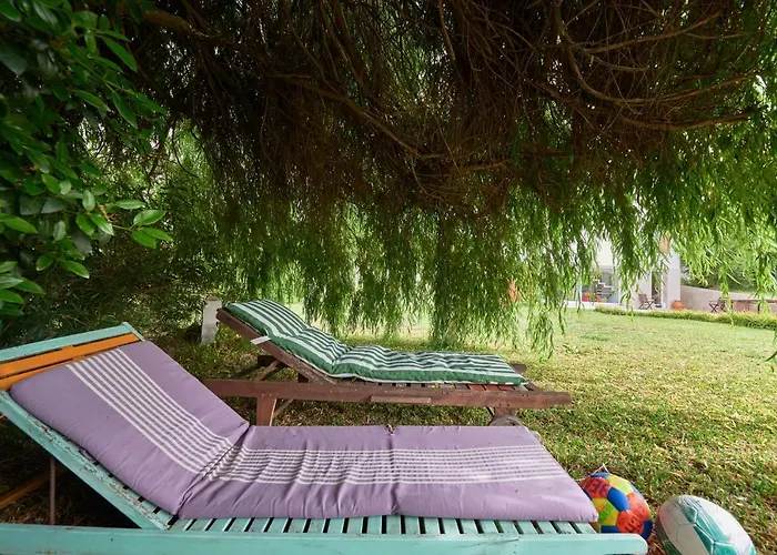 Quinta Treewindbee *